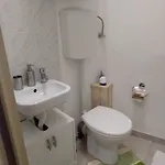 Oazis * Eğri