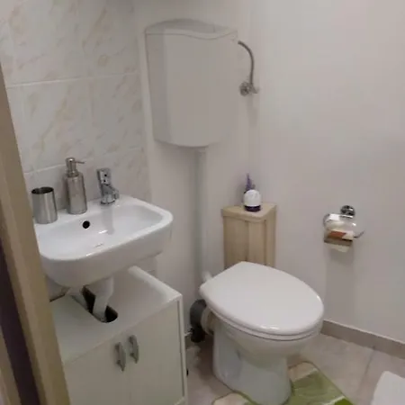 Oazis * Eğri